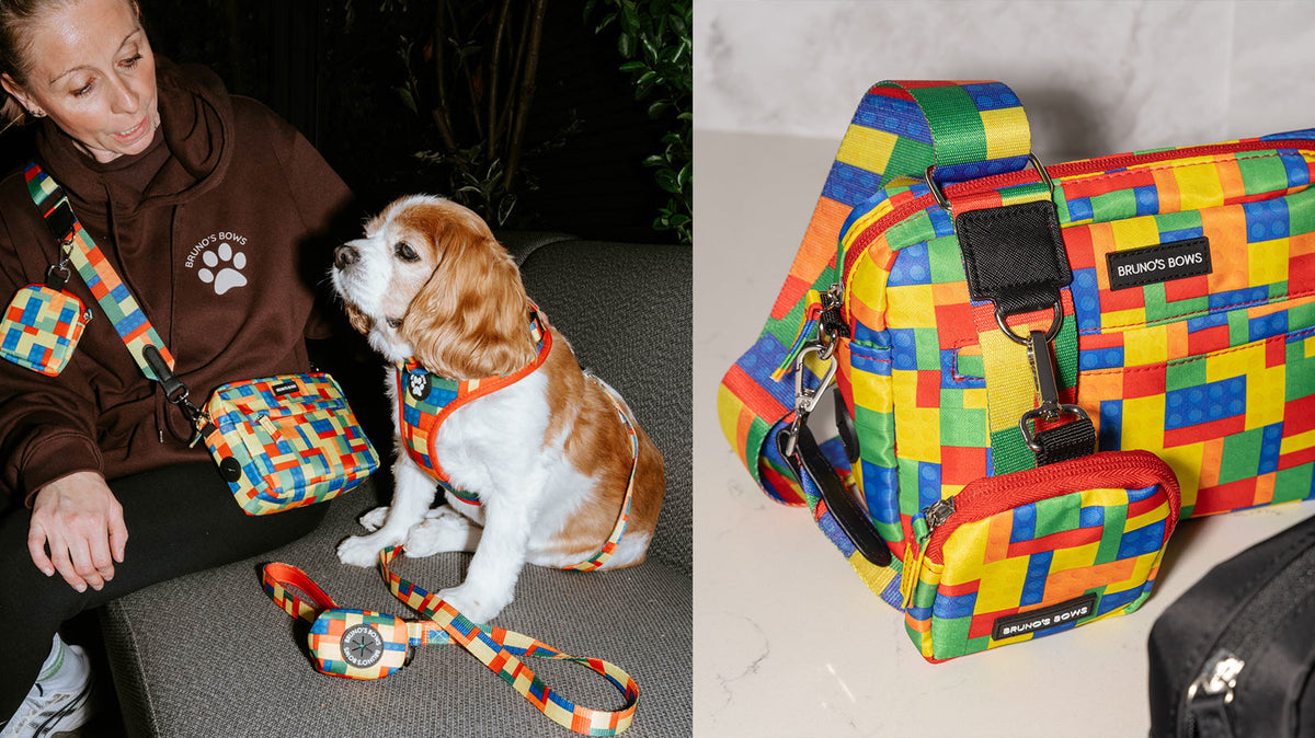 The Hands-Free Dog Walking Bag Guide: What to Look For