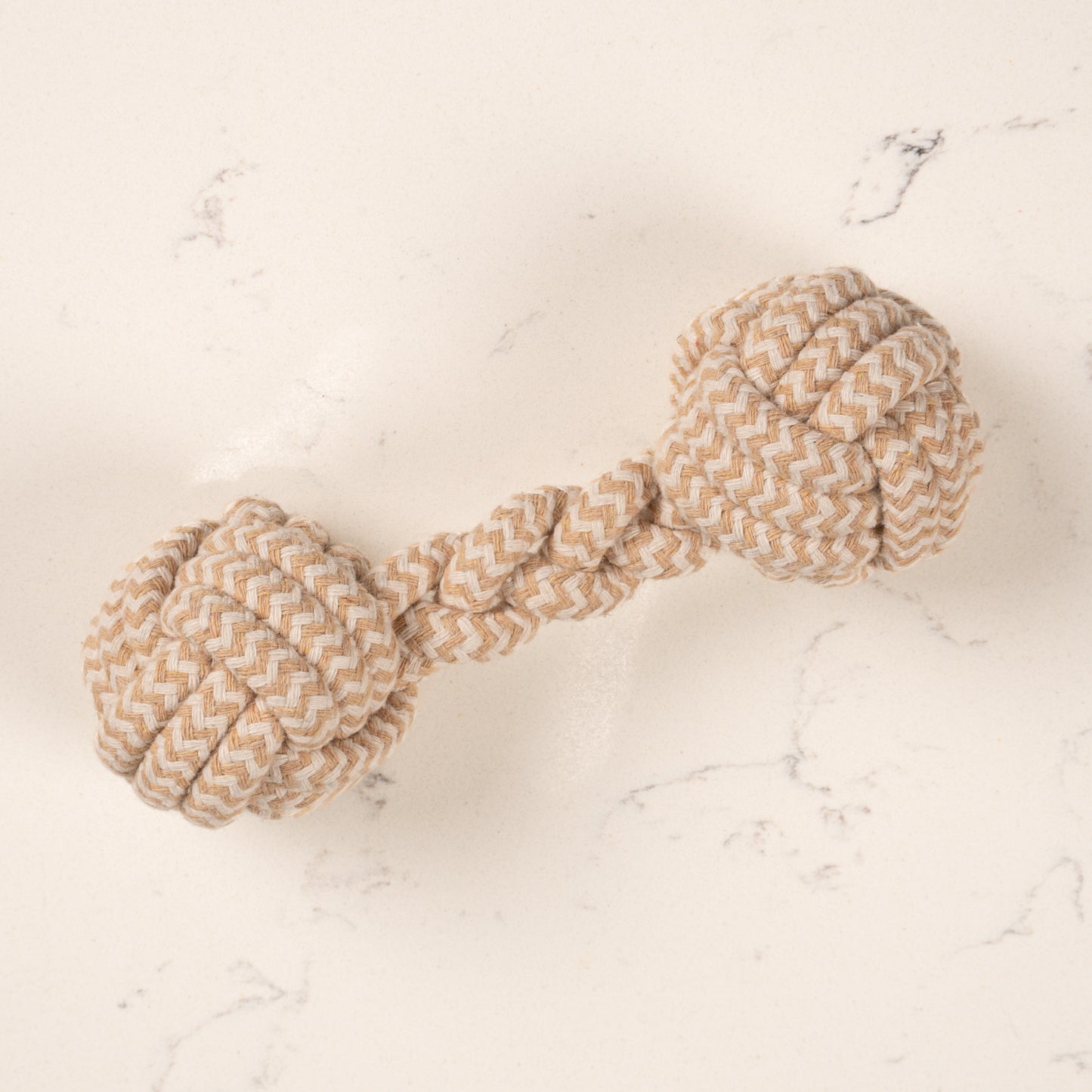 The Forager Interactive Toy