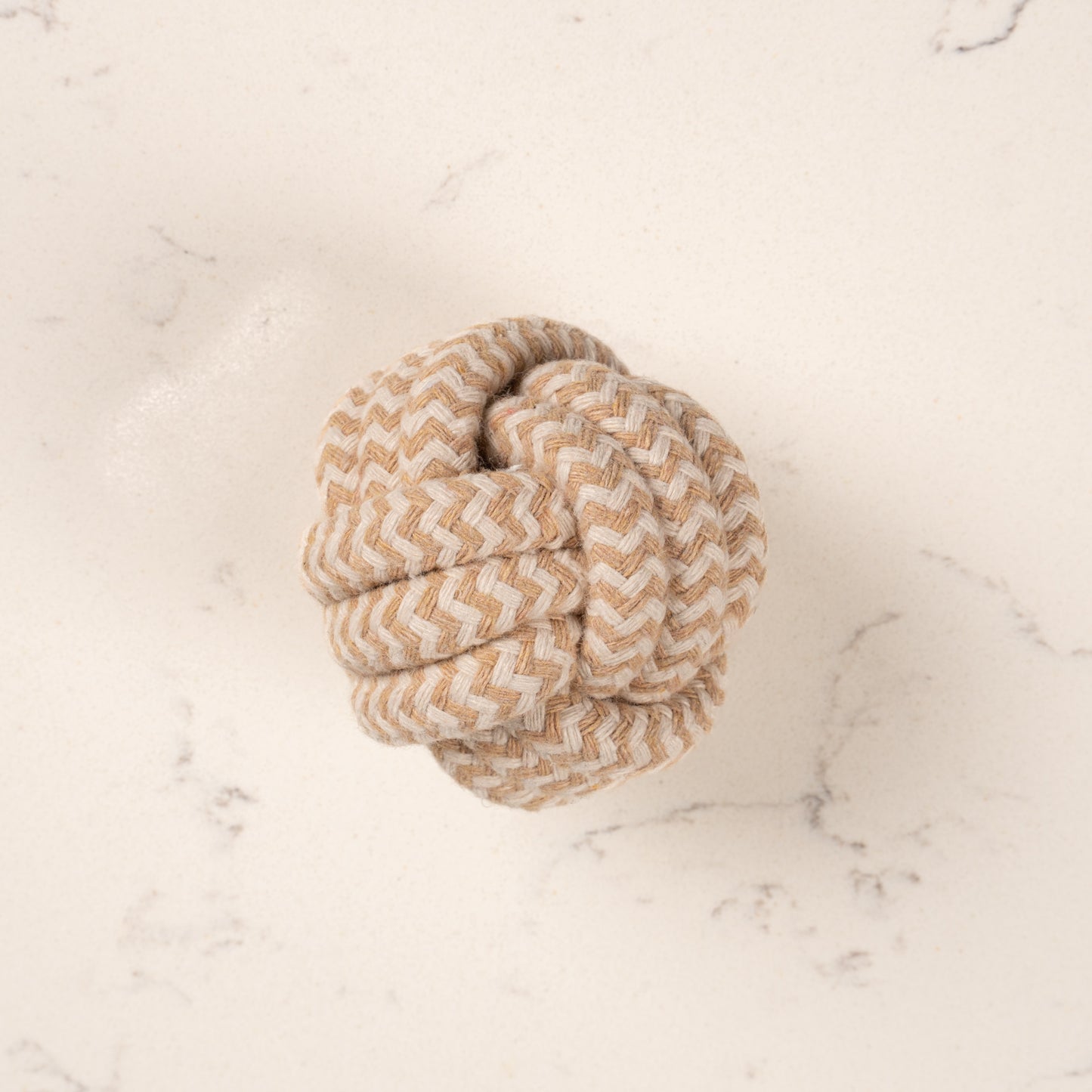 The Forager Interactive Toy