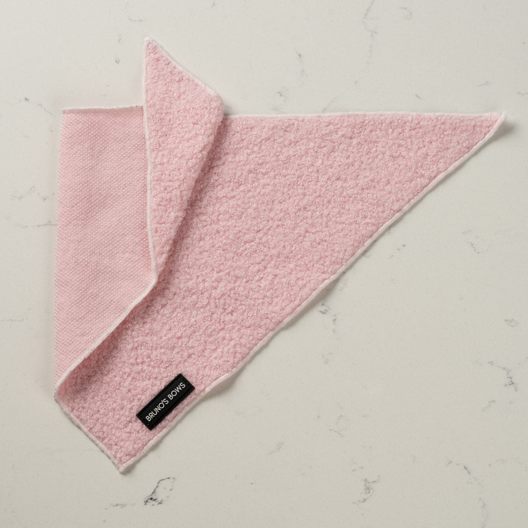 Teddy Pink Bandana