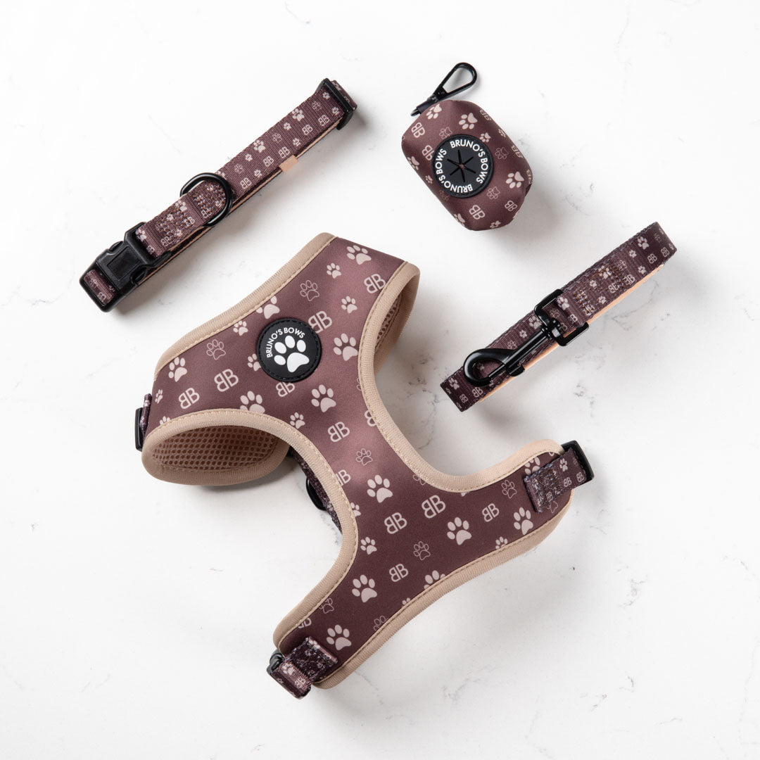 BB Paw Harness Bundle