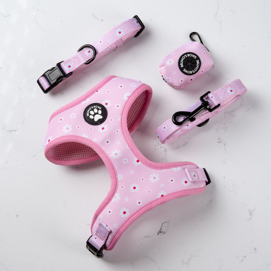 Daisy Harness Bundle