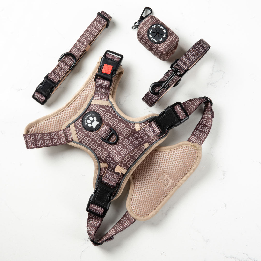 BB Signature No Pull Harness Bundle