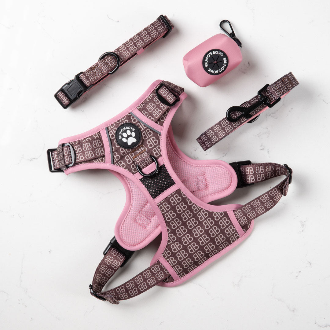 Bernadette No Pull Harness Bundle