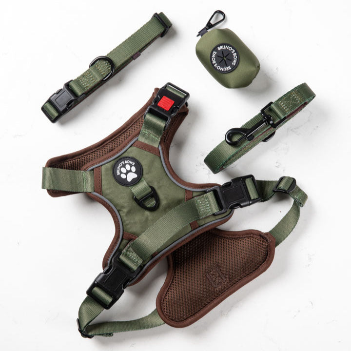 Woodland No Pull Harness Bundle
