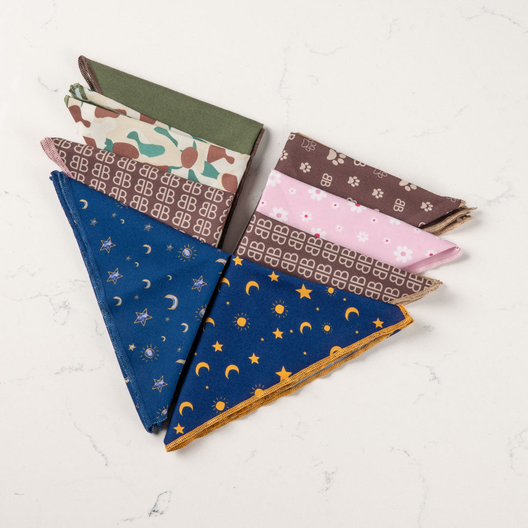 BB Paw Bandana