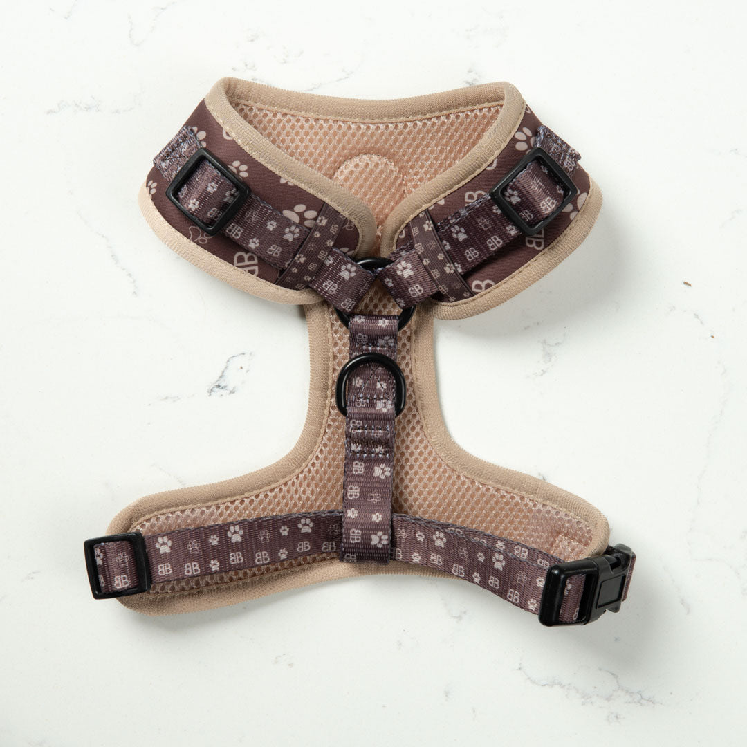 BB Paw Dog Harness