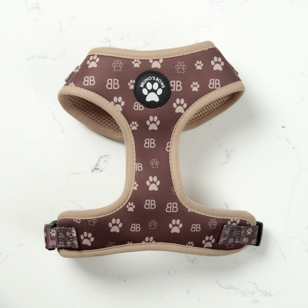 BB Paw Dog Harness