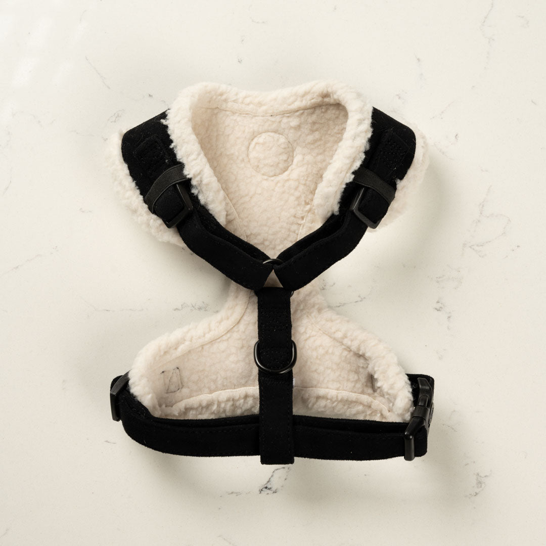 Black Velvet Harness