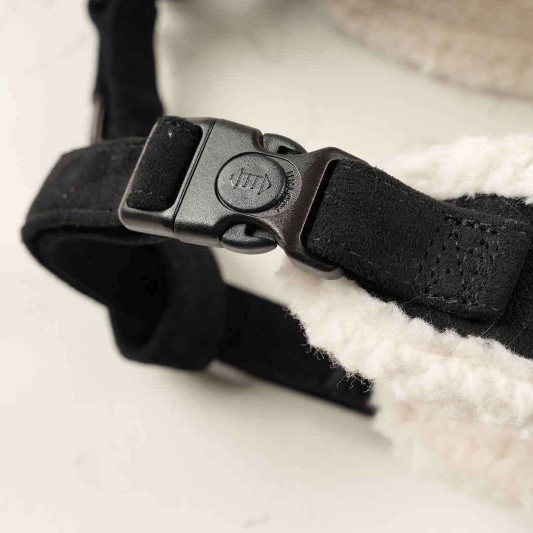 Black Velvet Harness