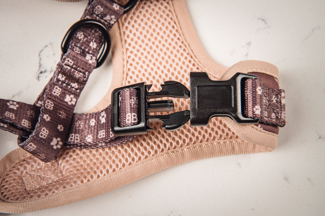 BB Paw Dog Harness