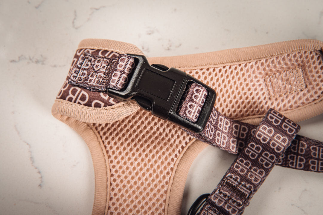 BB Signature Dog Harness