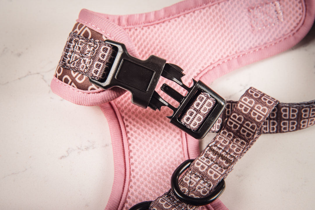 Bernadette Dog Harness