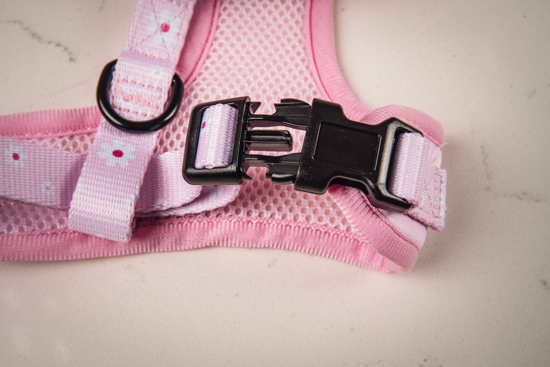 Daisy Dog Harness