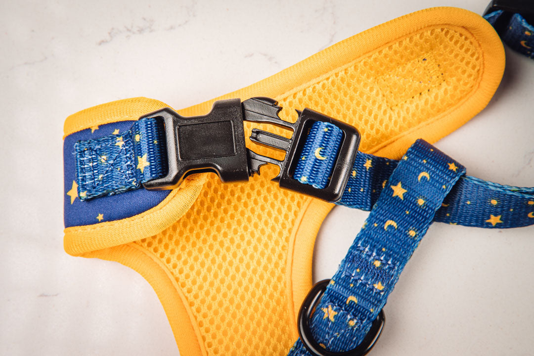 Galaxy Dog Harness