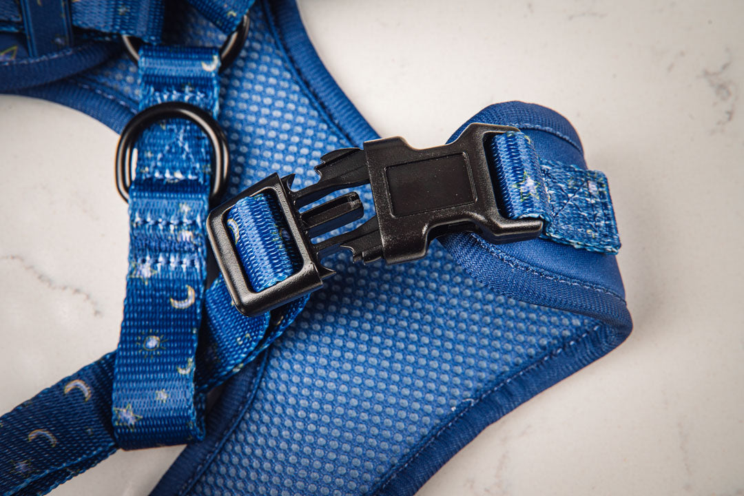 Luna Dog Harness