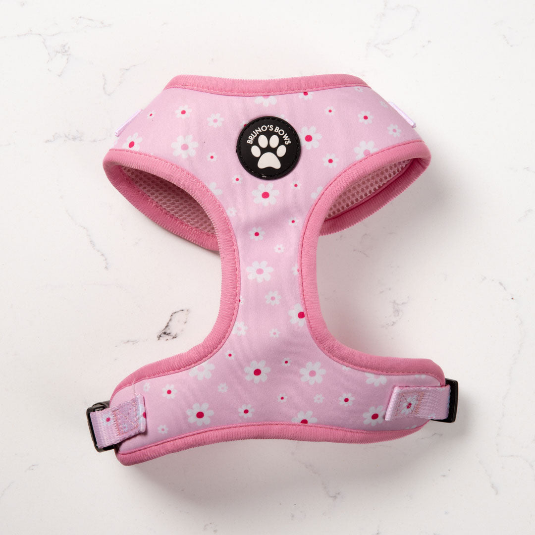 Daisy Dog Harness