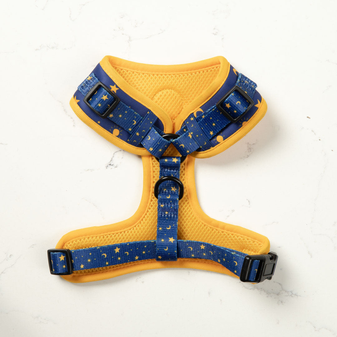Galaxy Dog Harness