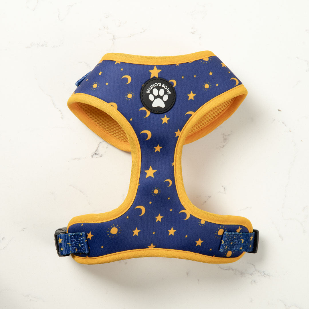 Galaxy Dog Harness