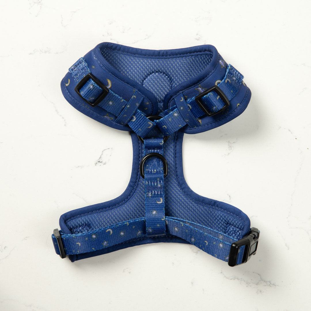 Luna Dog Harness