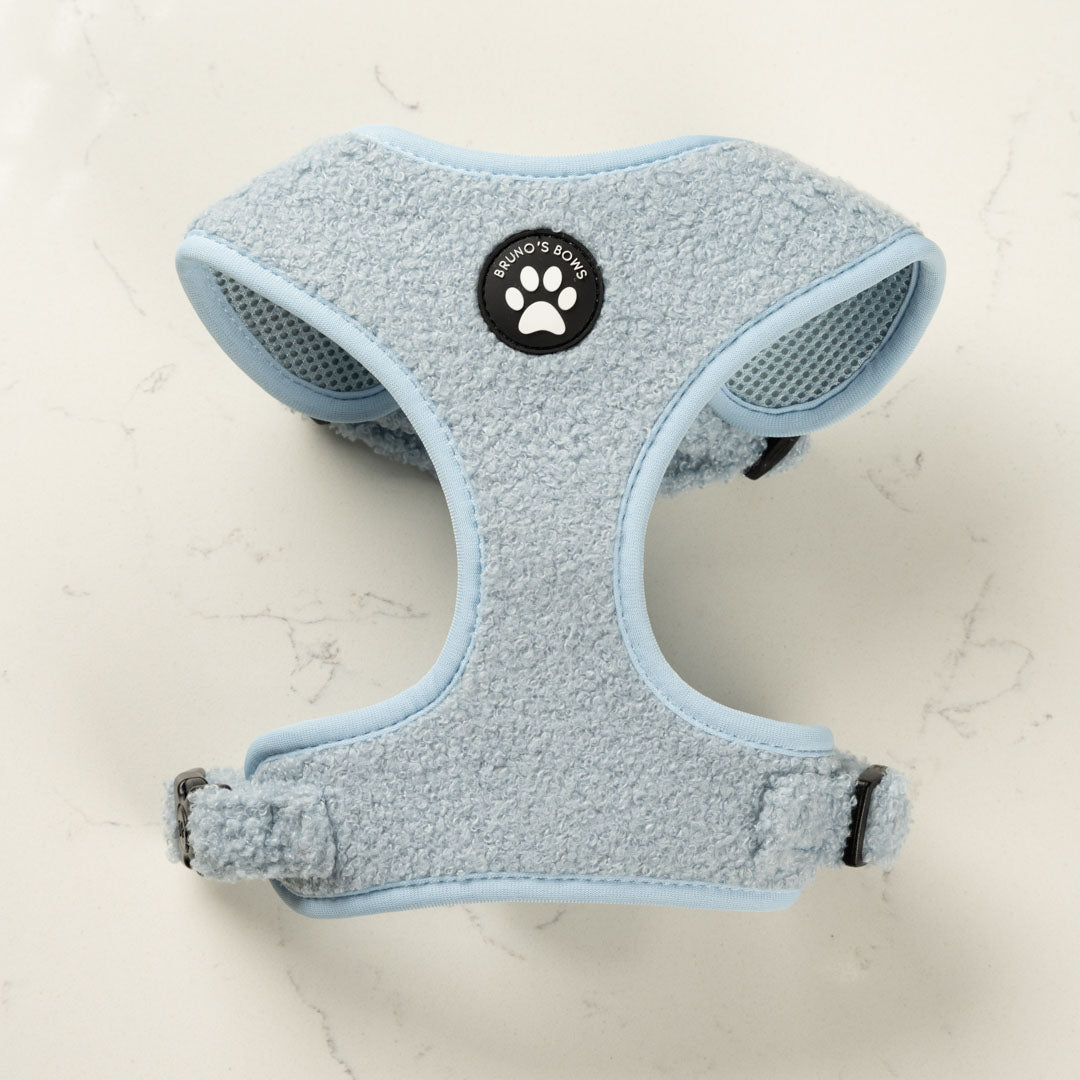 Teddy Blue Harness