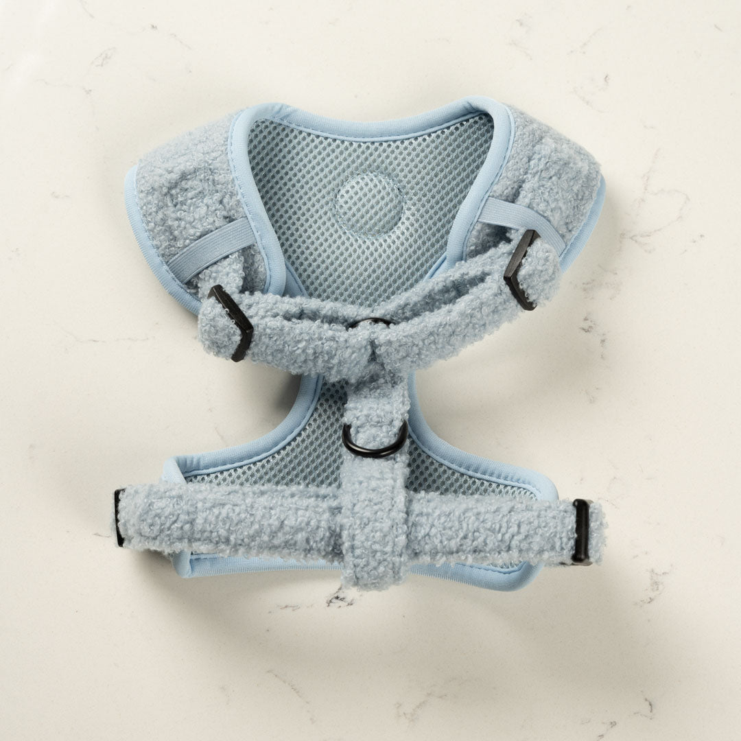 Teddy Blue Harness