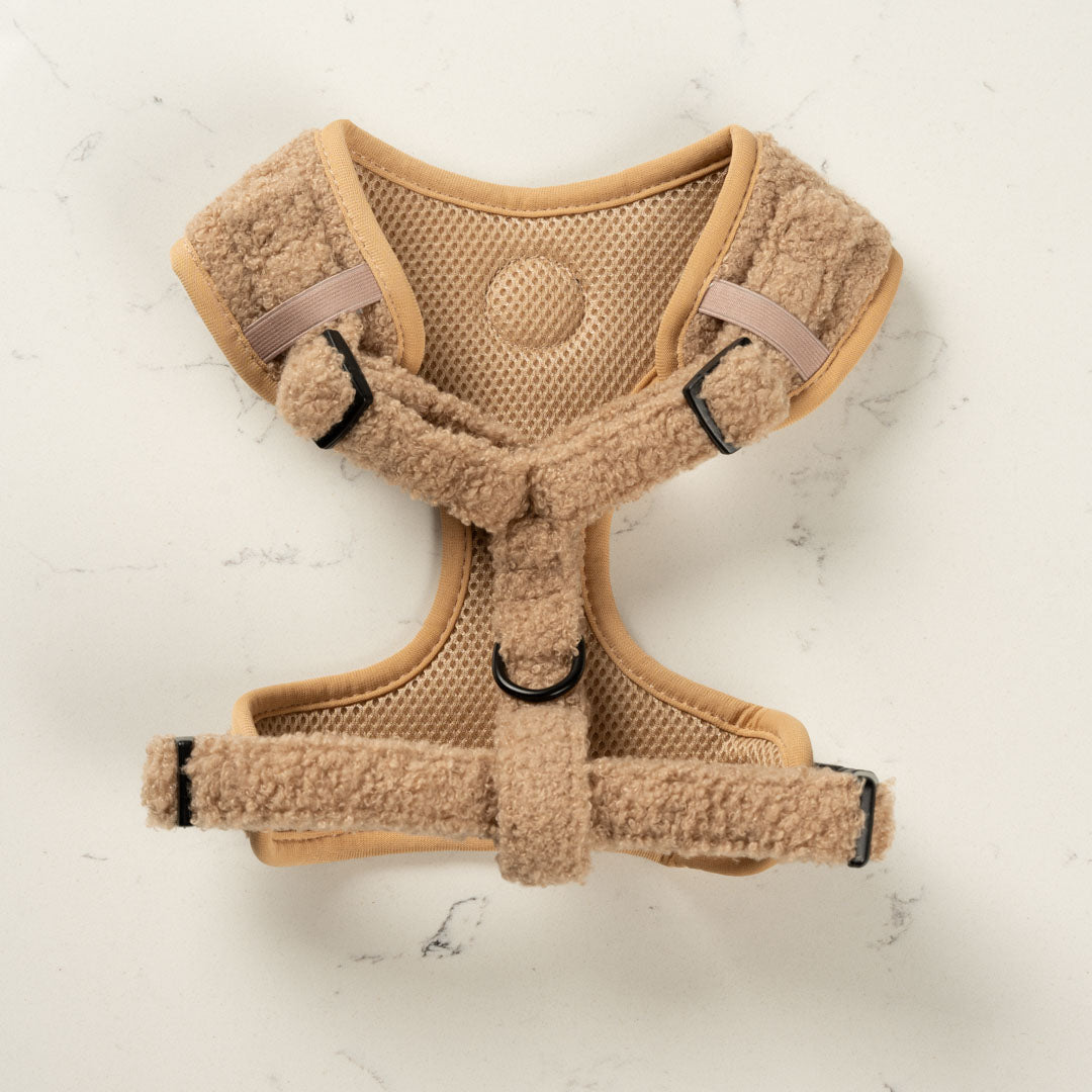 Teddy Brown Harness