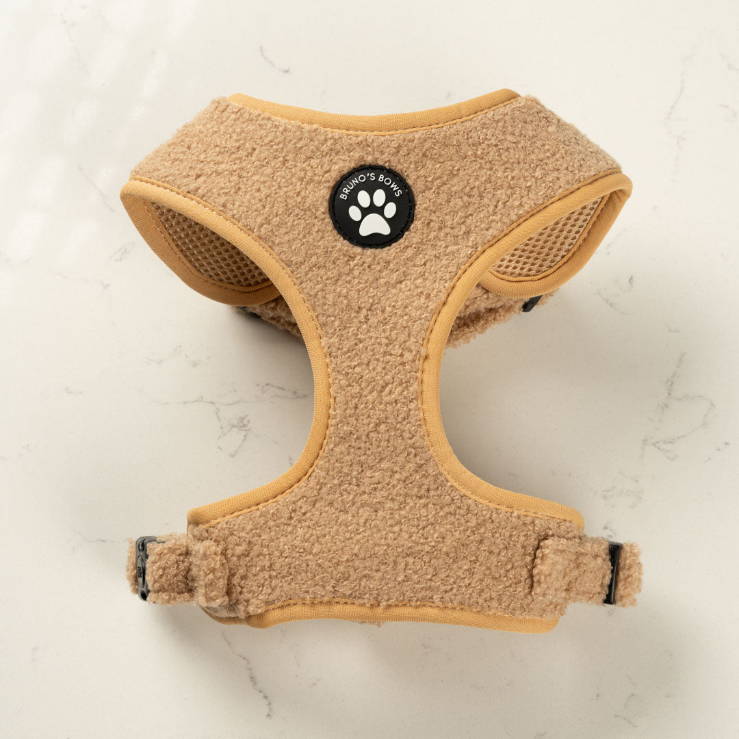Teddy Brown Harness