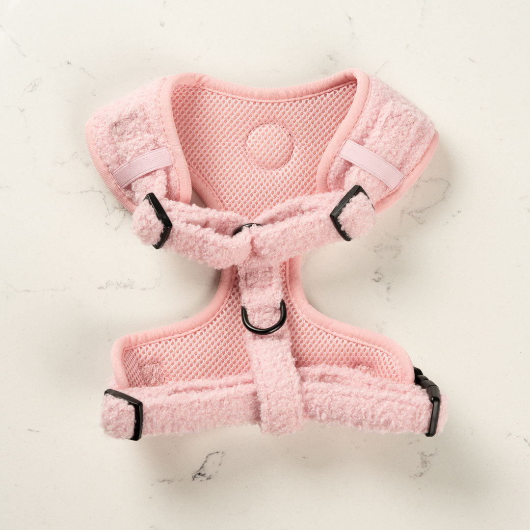 Teddy Pink Harness