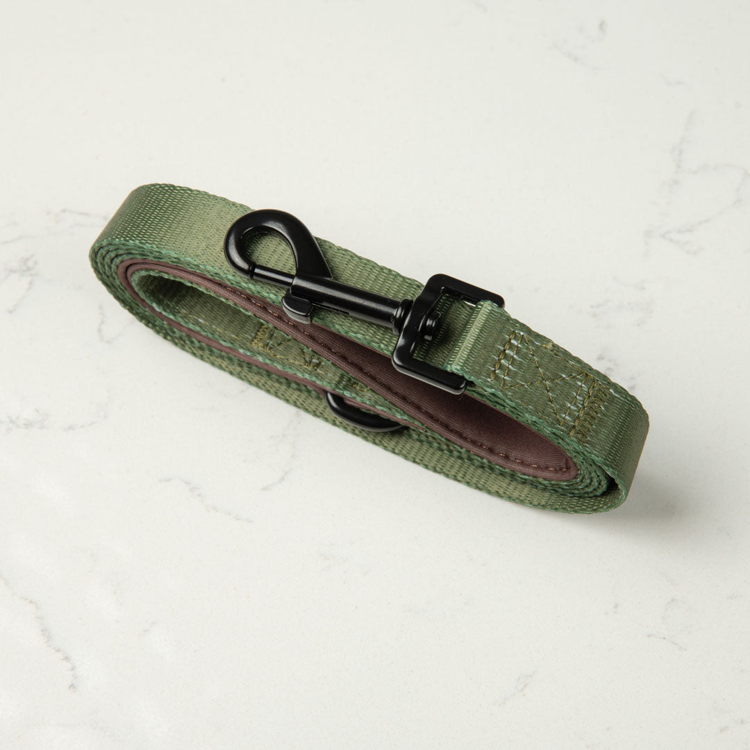 Woodland Lead