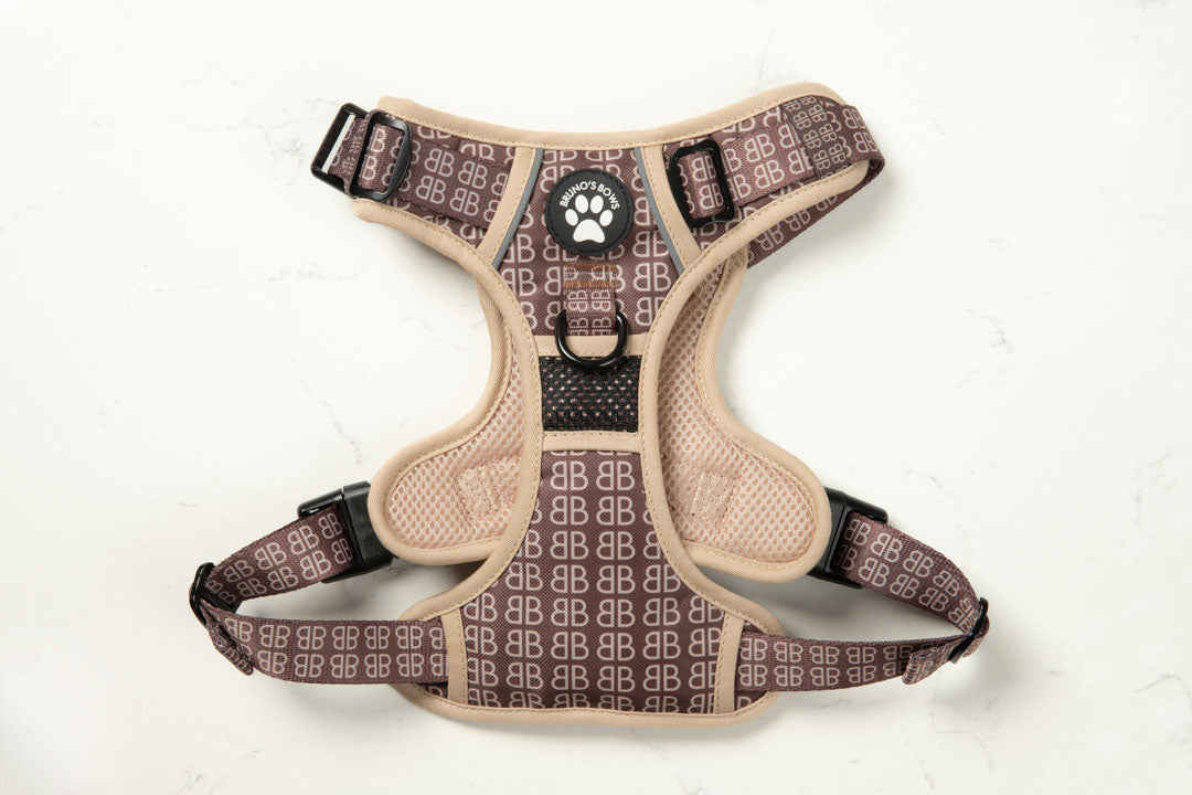 BB Signature No Pull Harness