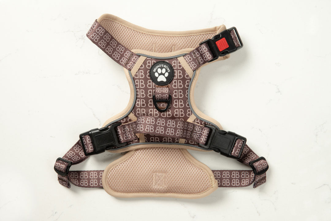 BB Signature No Pull Harness