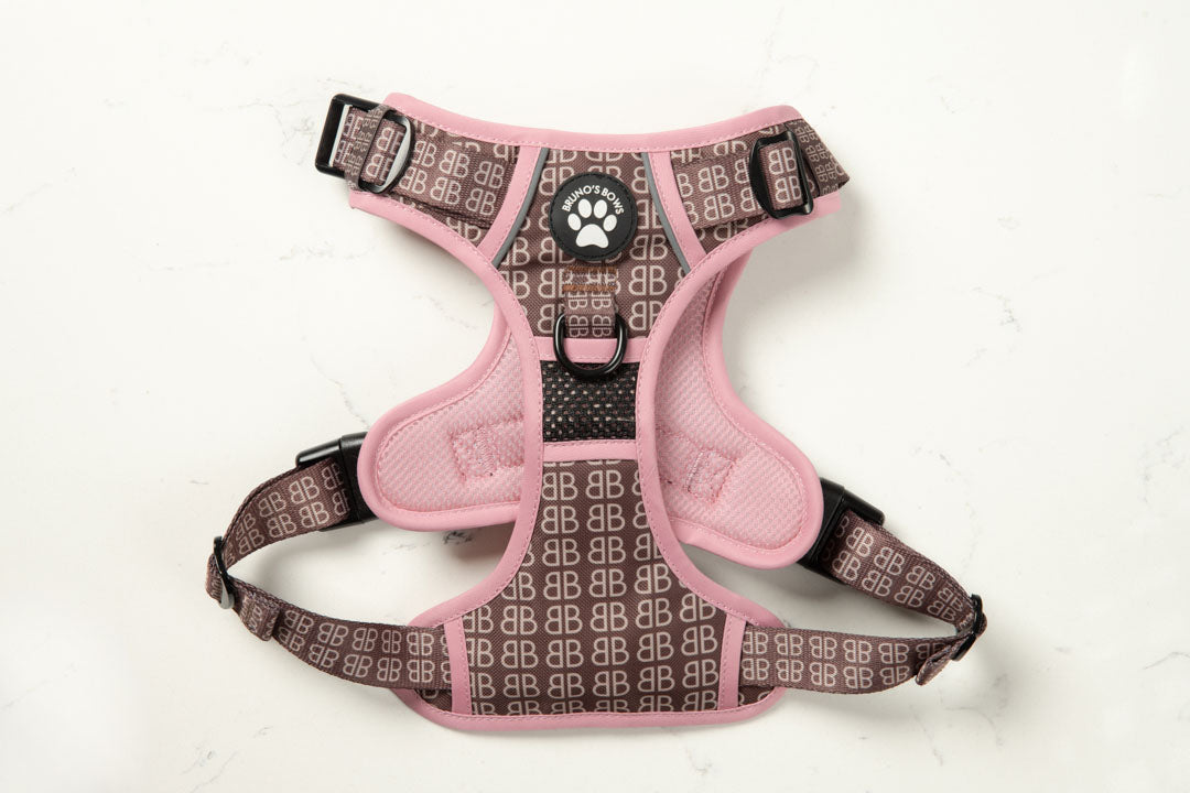 Bernadette No Pull Harness
