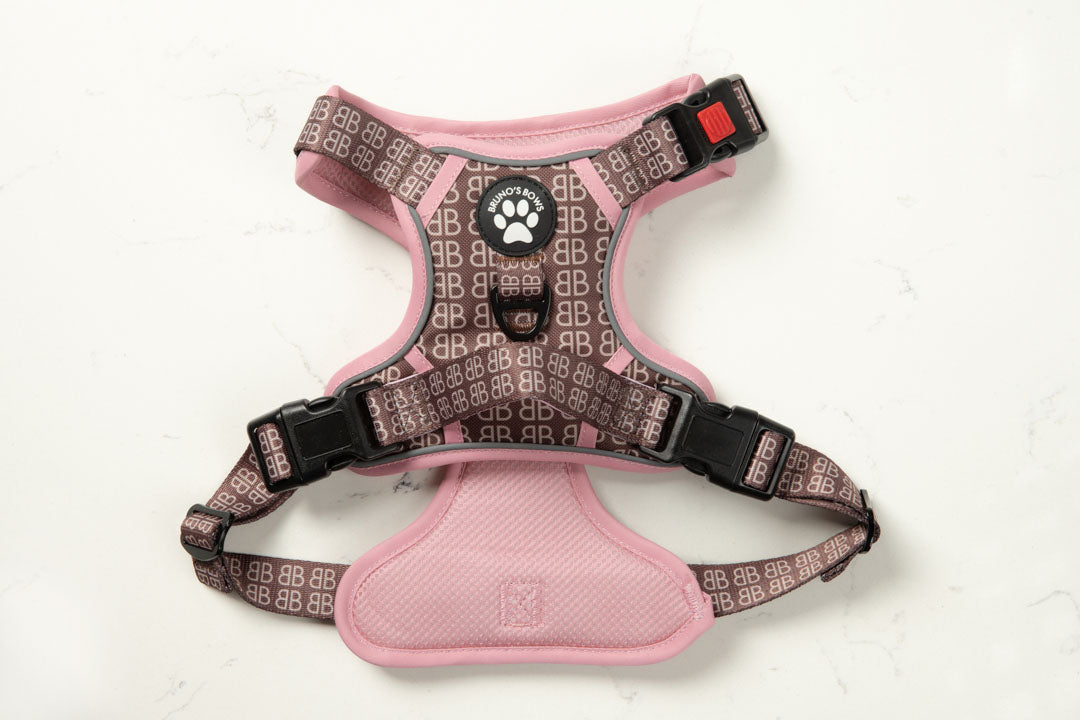 Bernadette No Pull Harness