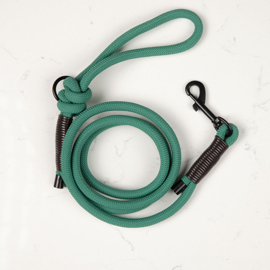 Light Green – Rope Lead