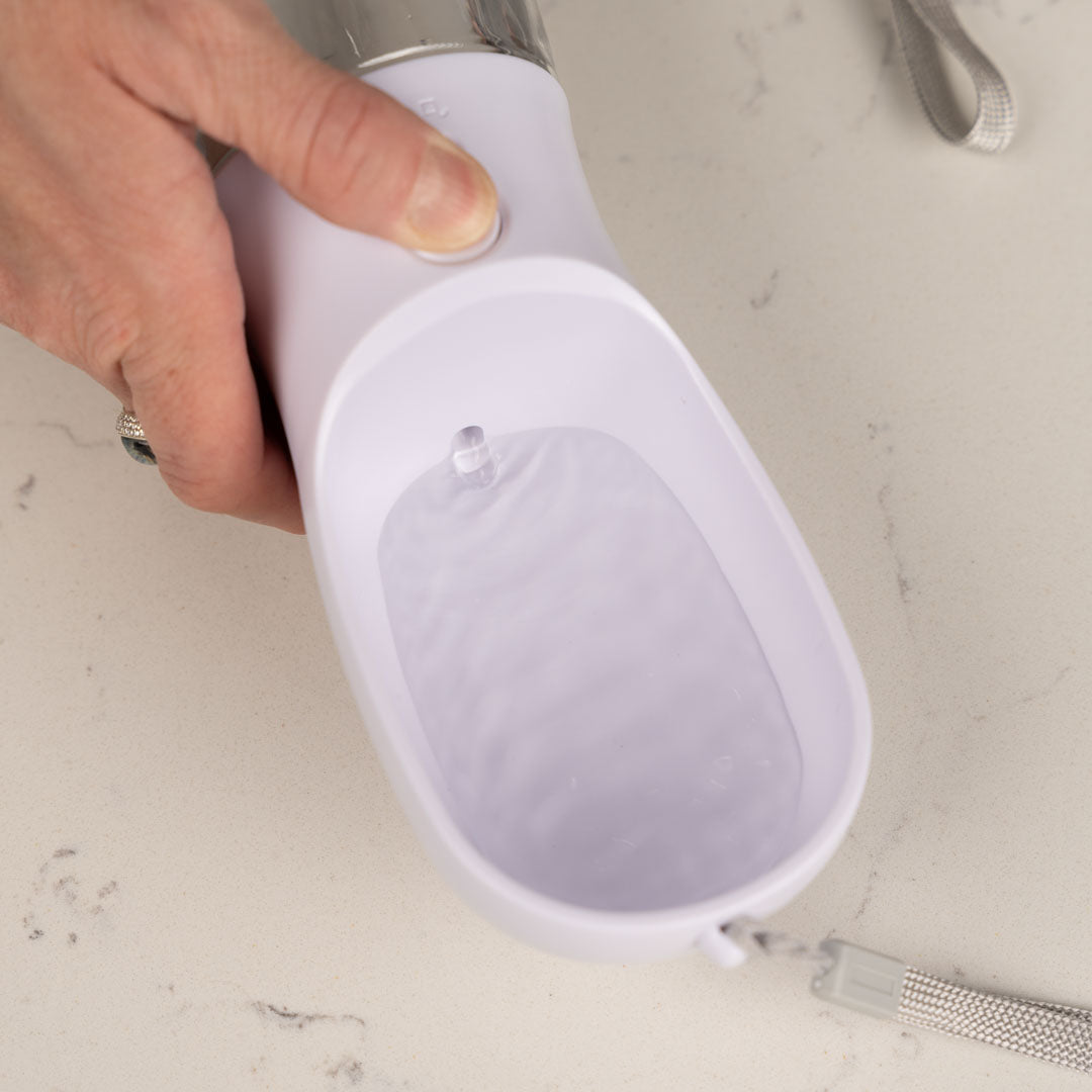 Pet Water Bottle - 300ml water and 100g food