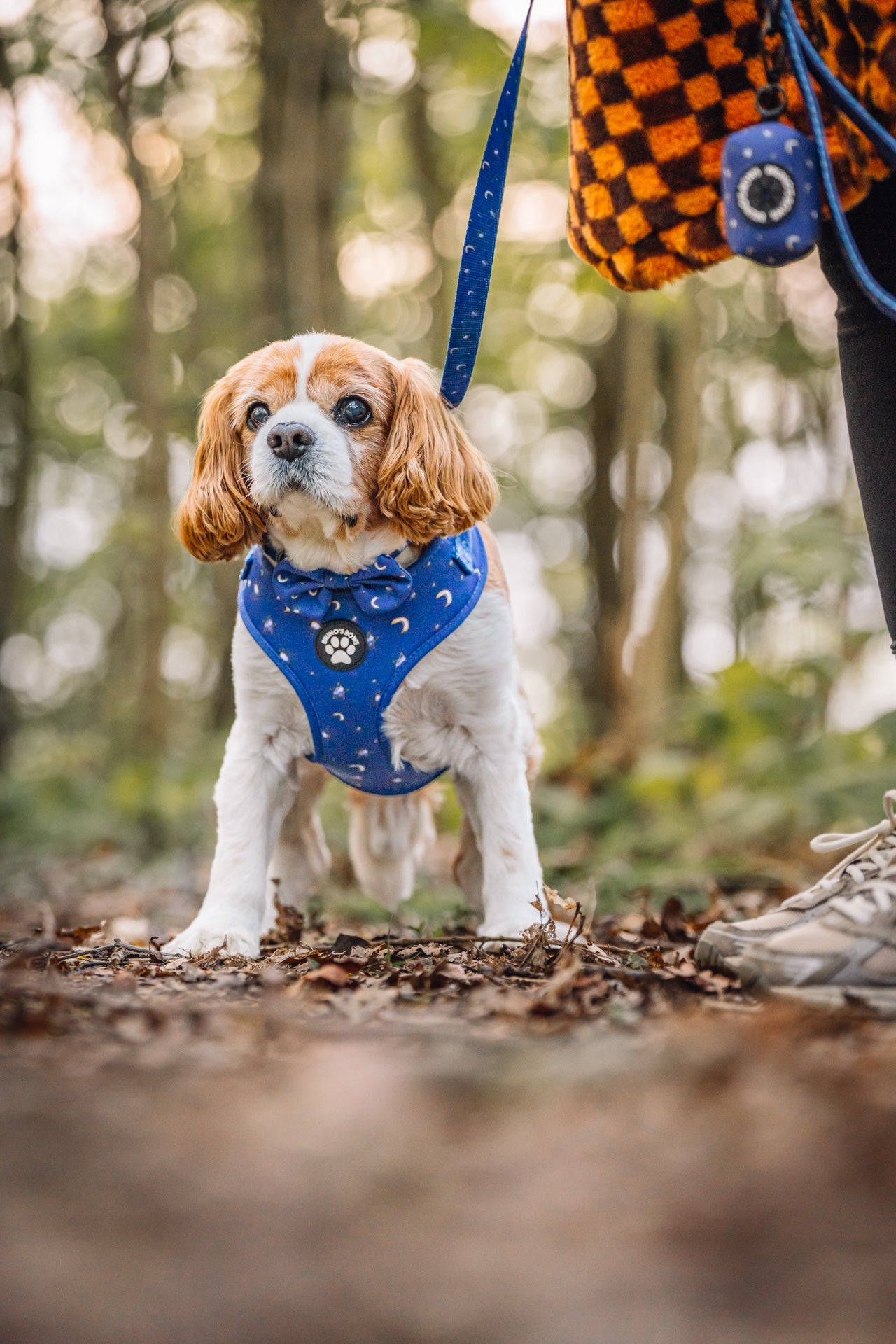 Adjustable Harnesses