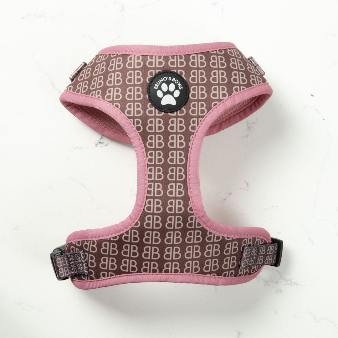 Harness