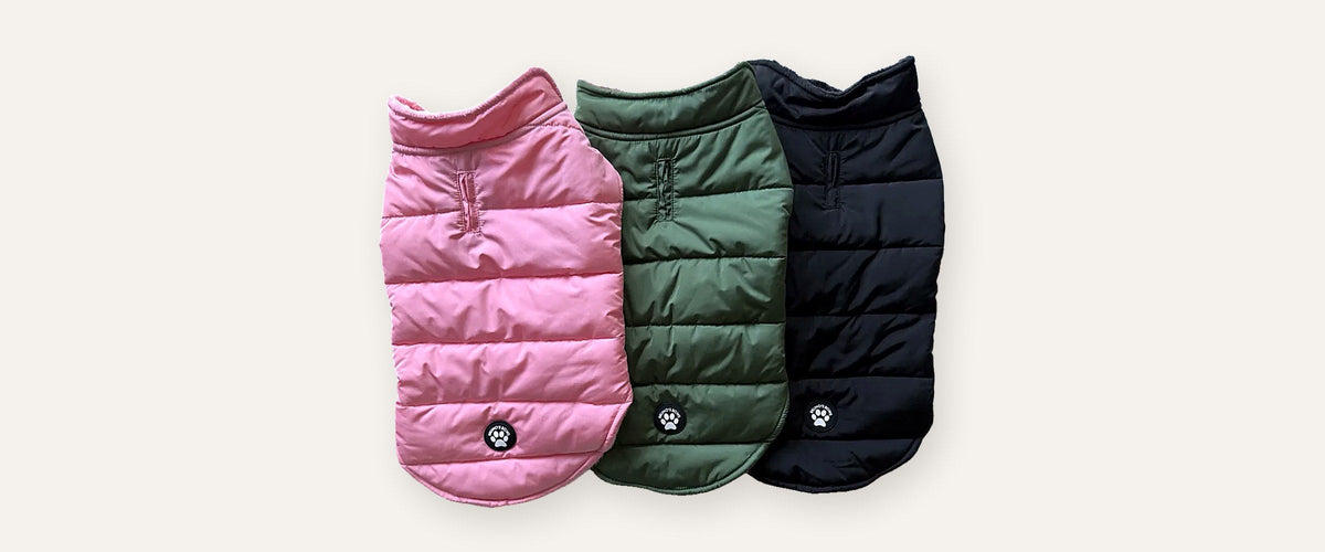 Bruno's Bows waterproof dog puffer coats in Pink Blush, Woodland Green and Midnight Black