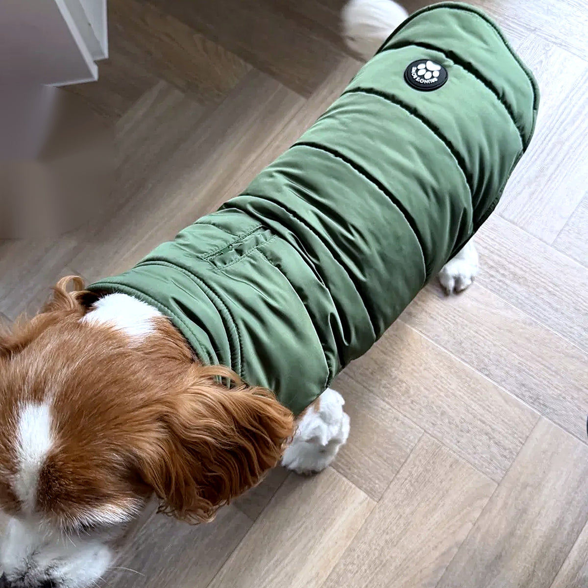 Woodland Green dog puffer coat from above showing the zipped lead opening