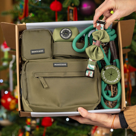 Dog Walking Bag Special