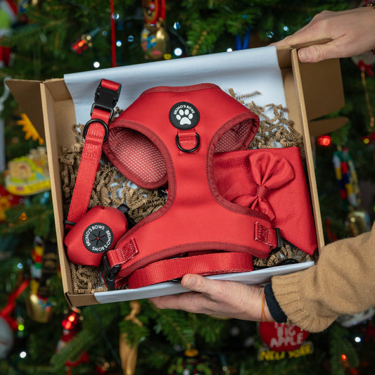 Red & Black Festive Edition