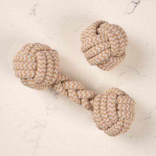 The Forager Interactive Toy