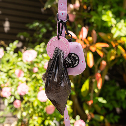 Poop Bag Holder Disc