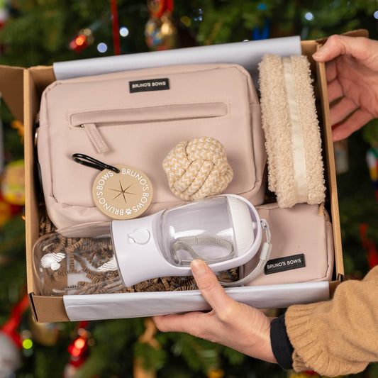 Walk, Play, Treat & Hydrate - Walking Bundle