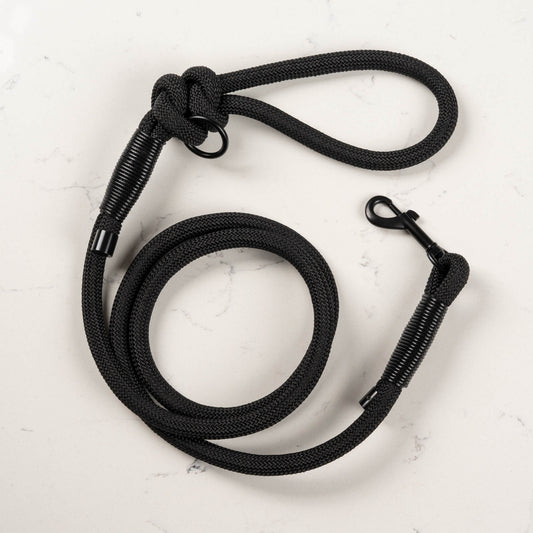 Midnight – Rope Lead