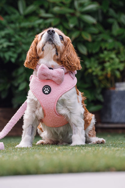 Teddy Pink Harness