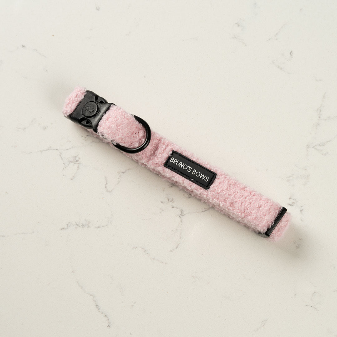 Teddy Pink Collar