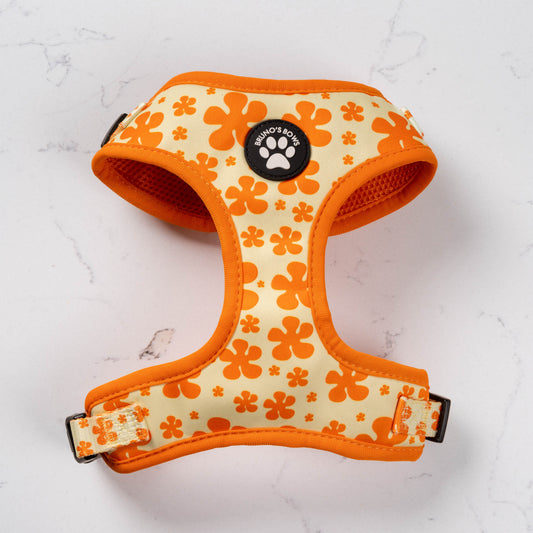 Fleur Dog Harness