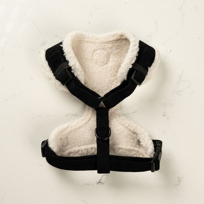 Black Velvet Harness